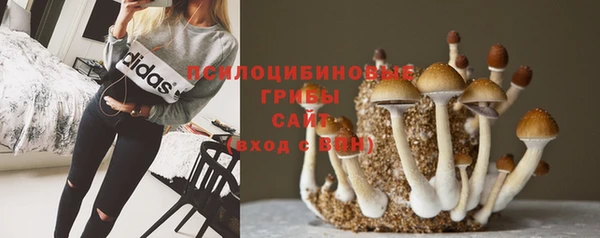 MESCALINE Лихославль