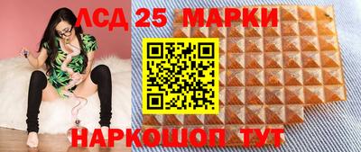 spice Гатчина