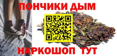 spice Гатчина