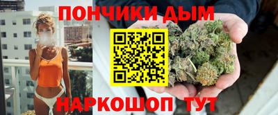 spice Гатчина