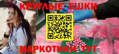 spice Гатчина