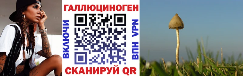 mega вход  Лесной  Псилоцибиновые грибы мухоморы  наркошоп 