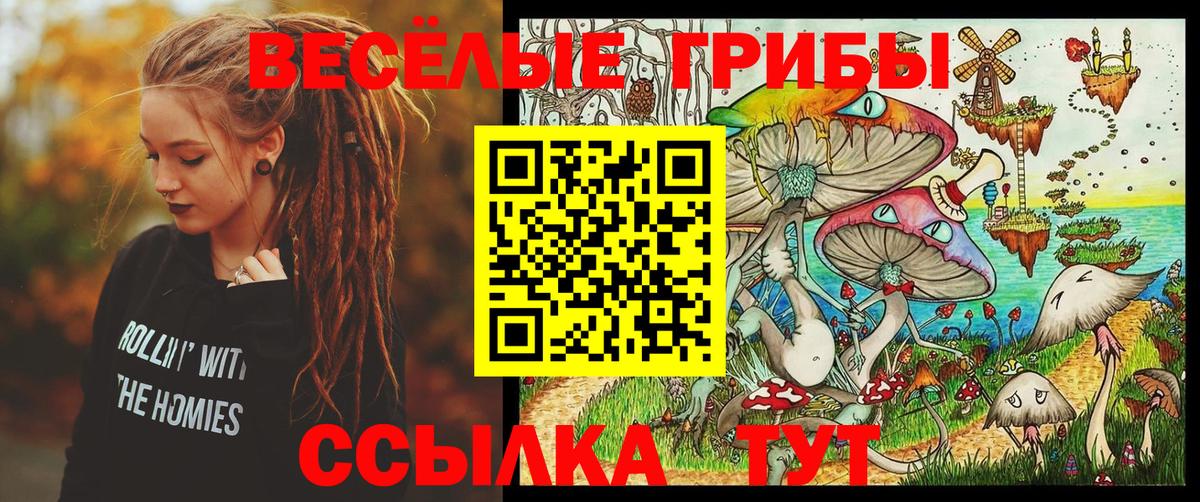 Псилоцибиновые грибы Psilocybe  Псилоцибиновые грибы GOLDEN TEACHER  Лесной  Вход с VPN 