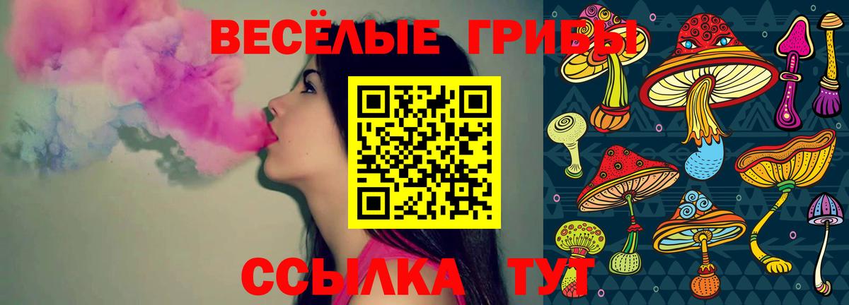 Псилоцибиновые грибы Cubensis Лесной