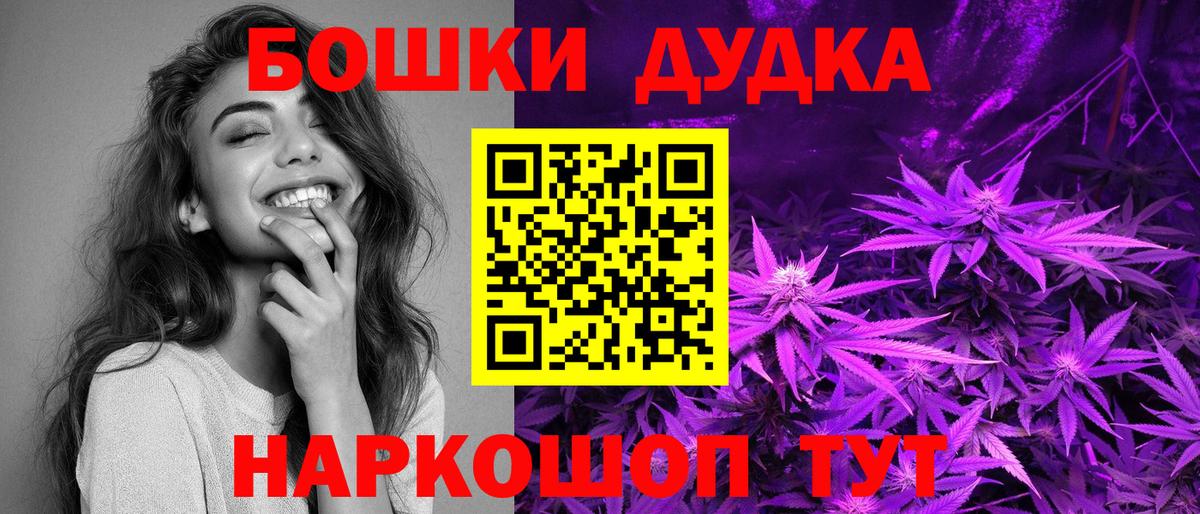 Конопля планчик Лесной